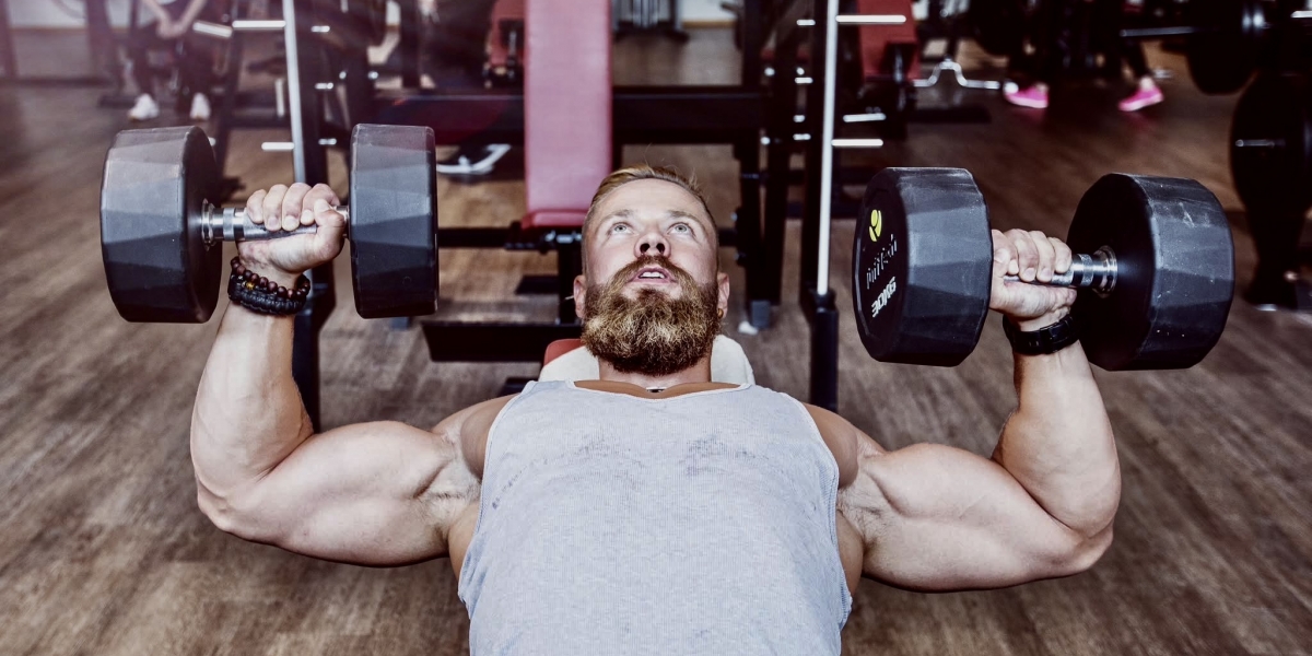 Ganzheitliche Leistungssteigerung im Krafttraining